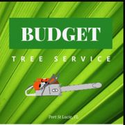 Budget Tree Service PSL - 19.04.21