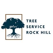 Tree Service Rock Hill - 20.09.20