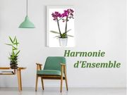 Harmonie d Ensemble - 28.05.19