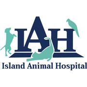 Island Animal Hospital - 19.08.21