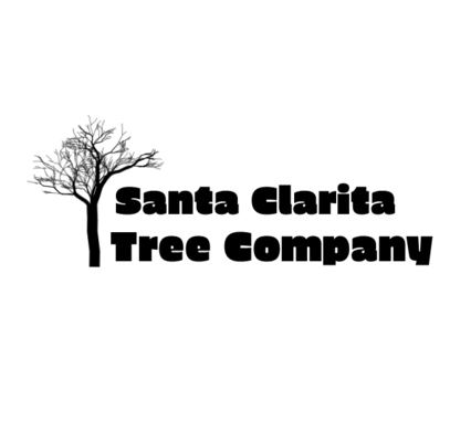 Santa Clarita Tree Care Services - 16.09.20
