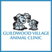 Guildwood Village Animal Clinic - 09.02.22