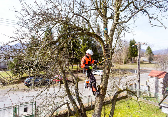 Schaumburg Tree Service - 03.09.20