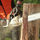 Schaumburg Tree Service - 03.09.20