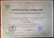 OSTÉOPATHIE pour ANIMAUX - - 08.02.20