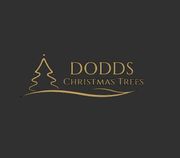 Dodds Christmas Trees Leeds - 10.11.18