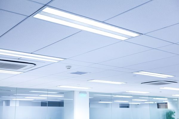 Luminit LLC - 16.01.19