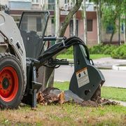 Tulsa Tree Service & Stump Removal - 06.11.20