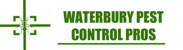 Waterbury Pest Control Pros - 11.10.18