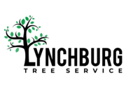 Lynchburg Tree Service - 07.11.21