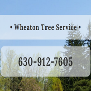 Wheaton Tree Removal - 07.01.22