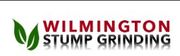 Wilmington Stump Grinding - 10.12.19