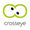 Crosseye logo 150x150 small