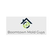 Boomtown Mold Guys - 29.06.23