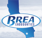Brea Endodontics - 22.08.23