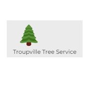 Troupville Tree Service - 26.07.23