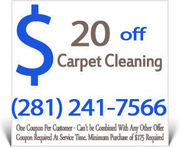 Carpet Cleaner Clear Leak City - 20.11.13