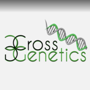 Cross Genetics Dispensary - 04.01.24