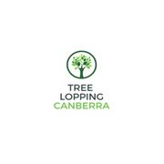 Canberra Tree Lopping and Tree Removal - 08.03.24