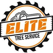 Elite Tree Service LLC - 20.02.24