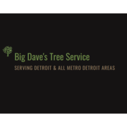 Big Dave's Tree Service - 07.12.23