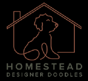Homestead Designer Doodles - 17.02.24