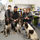 Ashlands Veterinary Centre, Glusburn - 03.04.24