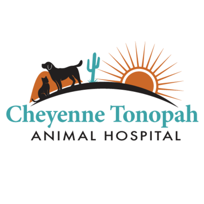 Cheyenne Tonopah Animal Hospital - 25.02.24