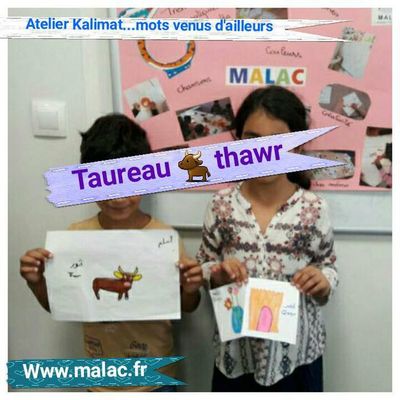MALAC - Maison d'Apprentissage de la Langue Arabe et de la Culture - 02.11.17