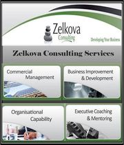 Zelkova Consulting - 29.01.15