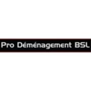 Pro Déménagement BSL - 08.02.22