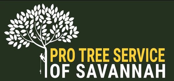 Pro Tree Service of Savannah - 24.05.19