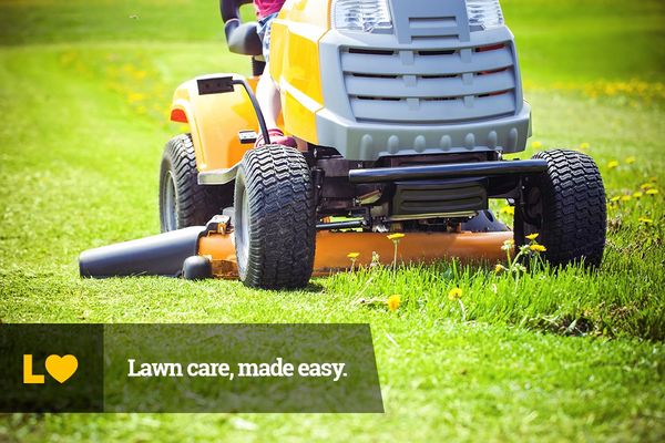 Lawn Love Lawn Care of St Louis - 08.07.16