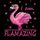 Flamingo Studio Photo