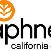 Daphne's California Greek - 10.08.16