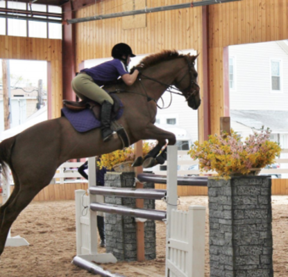 New York Equestrian Center - 26.02.24