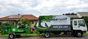 Timberwolf Tree Service - 10.05.21