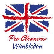 Pro Cleaners Wimbledon - 10.06.15