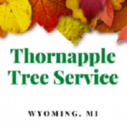 Thornapple Tree Service Wyoming - 16.12.20